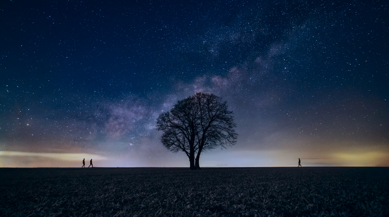 DA_TREE6