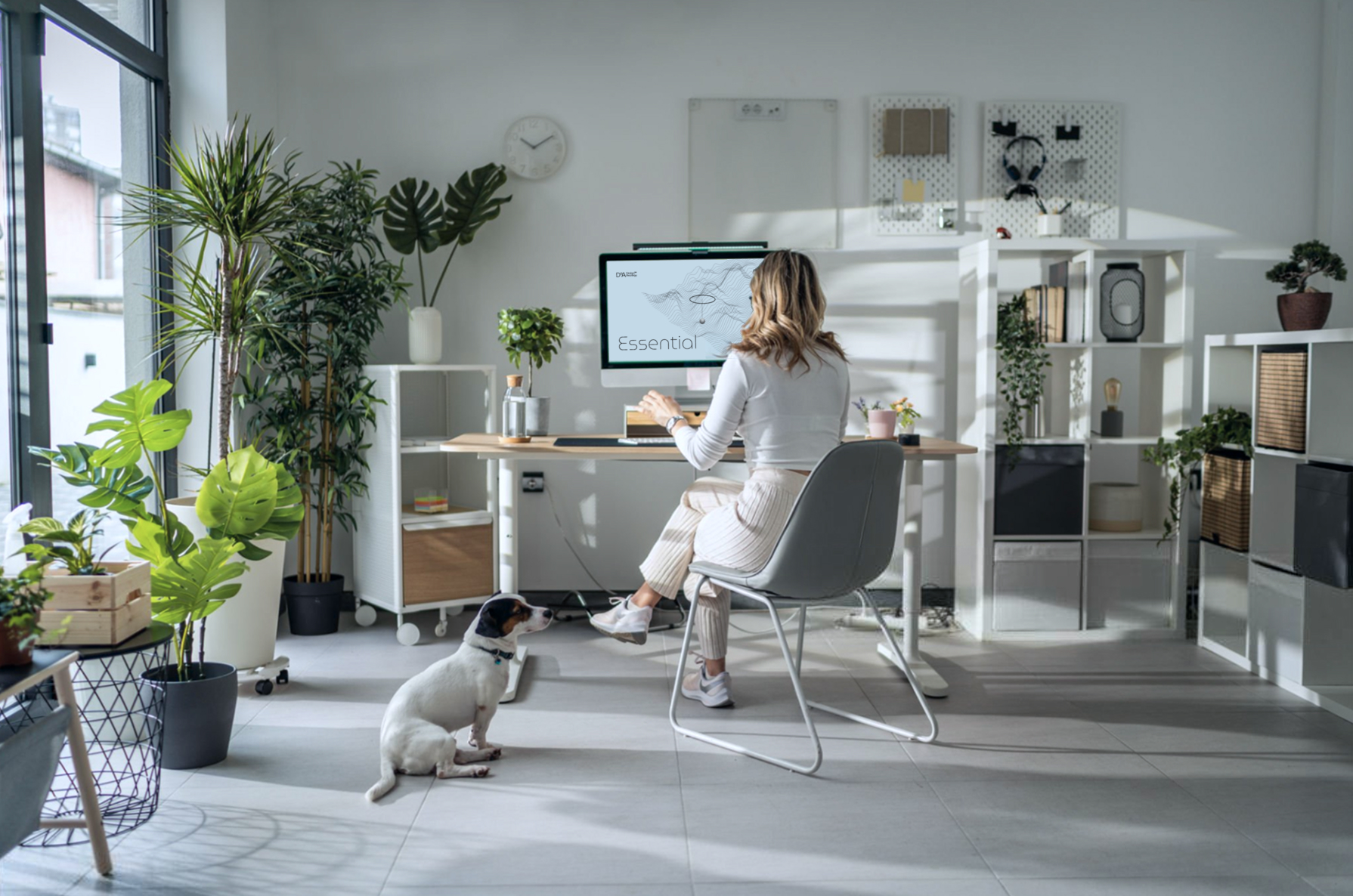 AoD_Office_Essential_V1